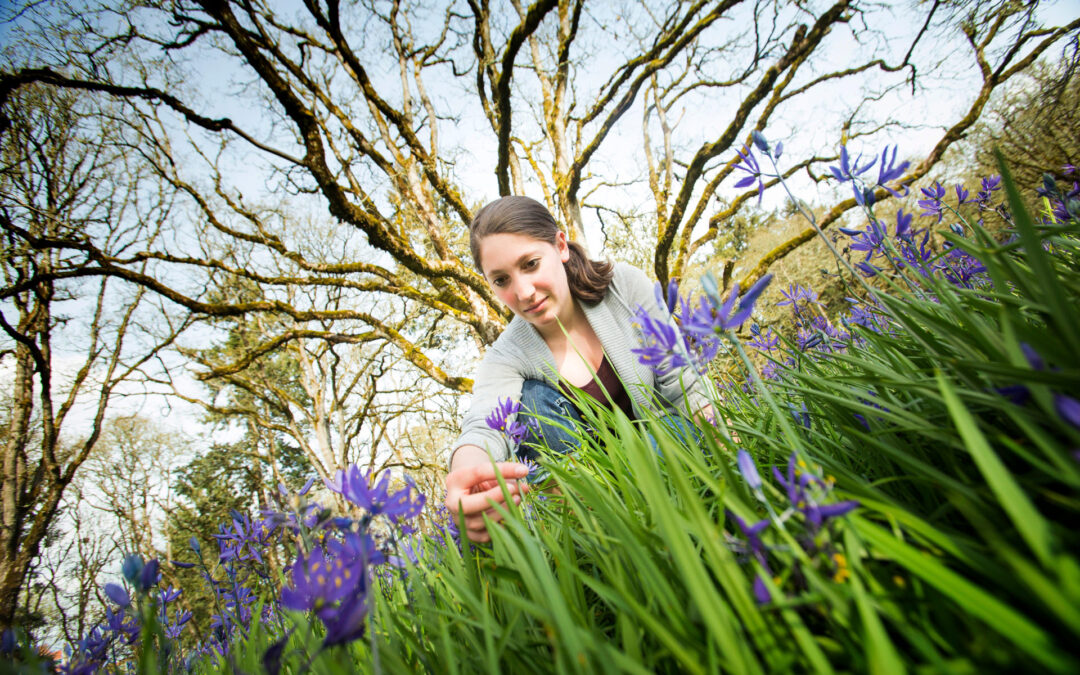 young woman picks purple flowers