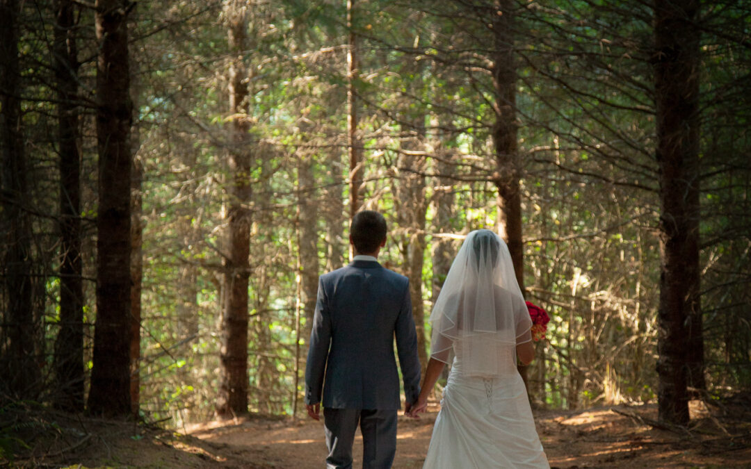bride and groom in dramatic forest