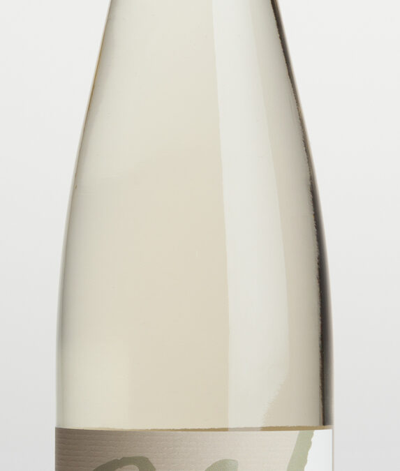 bottle of white wine on white background